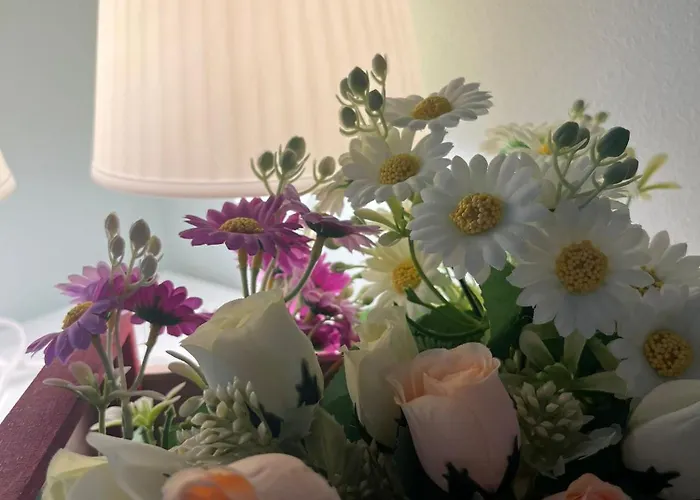 Giulio Каннобио